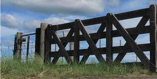 Continúa en caída la actividad inmobiliaria rural y se registró el peor nivel del año