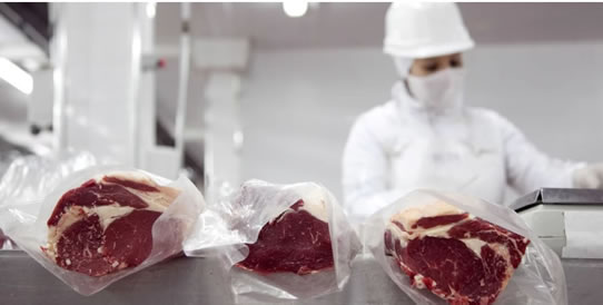 Ganadería  En octubre, las exportaciones de carne vacuna marcaron un nuevo récord: casi 100.000 toneladas