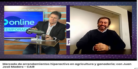 Mercado de arrendamientos hiperactivo en agricultura y ganadería.