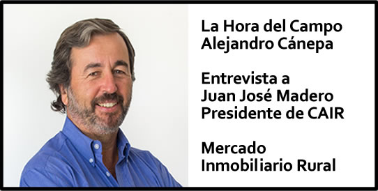 “Estábamos en un mínimo histórico el mes pasado y ahora repuntó” el mercado inmobiliario rural